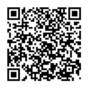 一个月之前的洞窟之战风清扬化身几丈高生生的吃了茅山的长老冷无情二维码生成