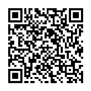 一个月的时间就能将东华学院的新生收的服服帖帖二维码生成