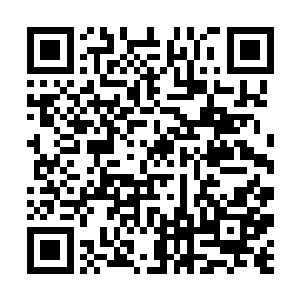 一个栩栩如生的龟状城池模型就展现在所有人的面前二维码生成