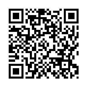 一个根基不稳的新人居然敢跟罗伯茨这些人争二维码生成