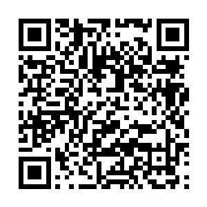 一个死去的火天尊绝对比一个议和投降的火天尊更有价值二维码生成