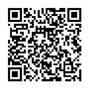 一个汹涌翻腾着火焰的火球朝着闻人修和阎王砸去二维码生成