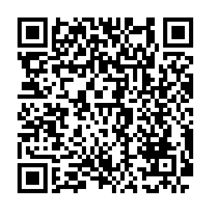 一个没有势力根基的天才在怎么厉害也只是一个让人瞧不起的散修而已二维码生成