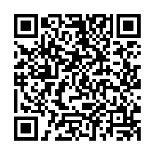 一个没有足够智慧的人是不可能来到南方建立宗门的二维码生成