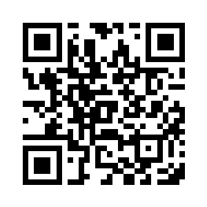 一个流线型的小型飞行器二维码生成