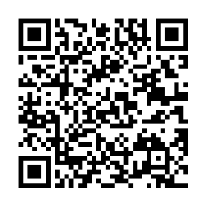 一个照面就被突然出现的秦皇国五名国师联手打伤的人二维码生成