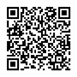 一个熟悉却刺耳的声音却混沌域界的方向传到了星空之中二维码生成