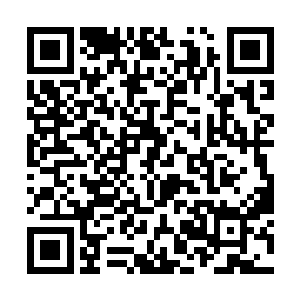 一个看起来似乎是领队的黑衣人淡然的站在一边观战二维码生成