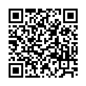 一个瞬间就消去了叶楚不少的生机二维码生成