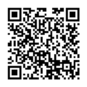 一个神秘莫测的高阶高手出现拦在他的面前的话二维码生成