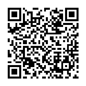 一个穿得好像吟游诗人一样的巫师正在演奏着风琴二维码生成