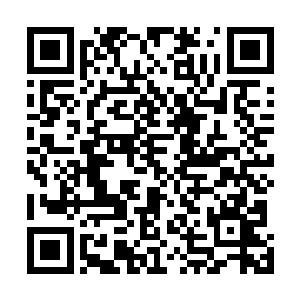 一个穿着深蓝色t袖相貌老成的眼镜男出现在了陈诚等人面前二维码生成
