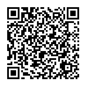 一个穿着花衣服的少女被那个叫做九轩的少年人背着从楼子上爬了下来二维码生成