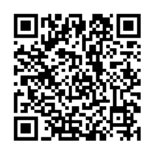 一个穿着虎皮裙的金毛猴子从别墅二楼翻身跳了下来二维码生成