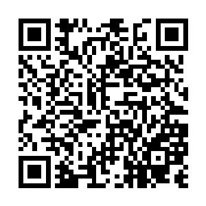 一个老农用力拍了自家傻站在一旁的小儿子一巴掌二维码生成