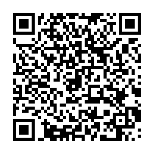 一个苏佳怡一个苏茜怡……为什么自己以前就是没想到这一点呢乡村之王二维码生成