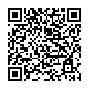 一个苦工把一颗绿豆大的钻石放到高扬手里的时候二维码生成