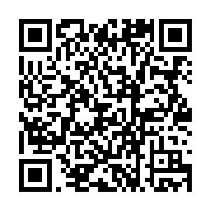 一个融合了神级成长性龙血妖灵的天转一重境强者二维码生成