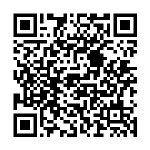 一个裹着灰袍的身影出现在一处被烧成焦炭的小树林里二维码生成