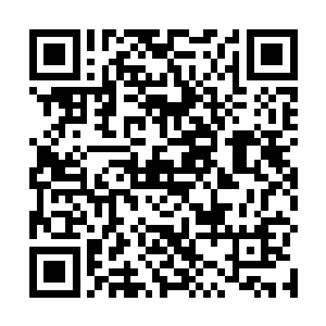 一个读高二的大男孩却被一个读初三的女生给揍了一顿二维码生成