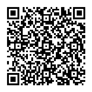 一个足有十米高的骷髅手中提着同样巨大无比的大刀正一步一步朝着我和陈景皓这边走来二维码生成