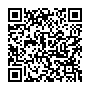 一个身着竹青色衣衫的公子对严承憬挤了挤眼睛二维码生成