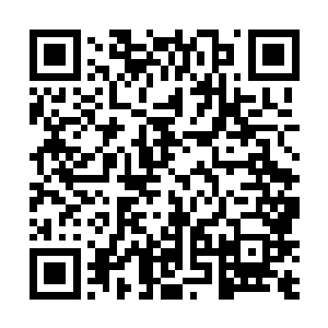 一个身穿红色晚礼服的女人双手捧着一个水晶盒走上前二维码生成