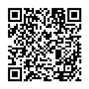 一个还没有筑基的修士还想从一个化神期修士的手中逃走二维码生成