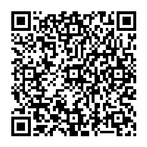 一个金丹中期的修真者竟然能够在分神期的气势下坚持这么长时间绝对算是十分的难得了二维码生成