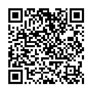 一个青竹林据点的鹰堂中人甚至不能让唐劫满意二维码生成