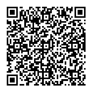 一个青衣小帽的小厮统着手站在台阶上好奇的看着这位不急着递名刺反而仔细观察大门的少年二维码生成