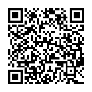 一个高级玩家发起横来真的可以将整个剧情世界颠覆二维码生成