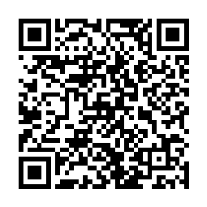 一个高高壮壮的男孩子带着一群流鼻涕的小孩一拥而上二维码生成