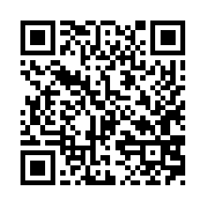 一个魔免盾加一个免伤盾再加一个加速二维码生成