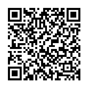 一个鸡蛋大小的洞口便是赫然的出现在了天蛇族族长的心脏部位二维码生成