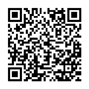 一个鸡蛋要靠滚蛋的方式将湖底找人遍这至少也得十天半个月吧二维码生成