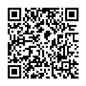 一个26岁的年轻女演员能够毫无争议地凭借扎实的票房成绩二维码生成