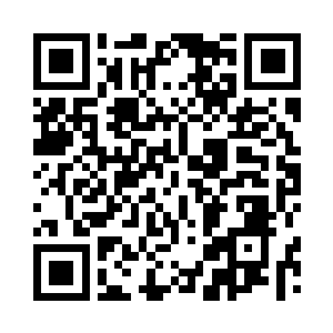 一串代码毫无预警的闯入008的数据库二维码生成