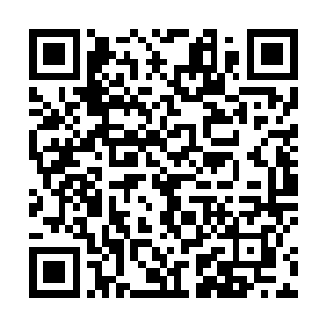 一五一十将他们从进门找老板到后面胡军被教训道出来二维码生成