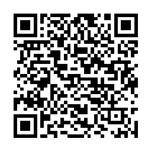 一些人已经收到讯息知道蒙仁已是族长特使的身份二维码生成