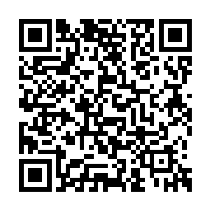 一些人认定人的成就主要不是取决于天赋或努力二维码生成