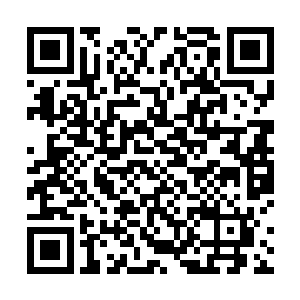 一些地面上的小虫子什么的都不接近佩戴这种水晶的人二维码生成