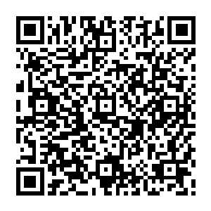 一些失落的花胳膊也不好意思在雄壮的如同一座大山一样的憨牛身边显摆自己的肌肉二维码生成