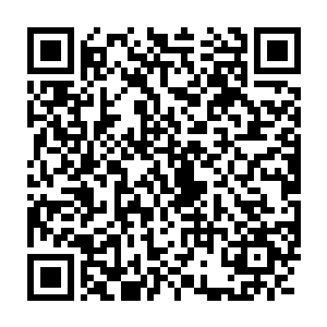 一些女生就在这些摊位里出售和交换她们采摘来的野果和野菜等东西二维码生成