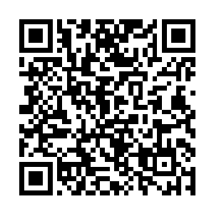 一些年轻的影迷对于自己所受的伤似乎根本就不在意二维码生成