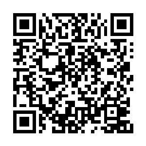 一些战斗力低下的剑尊也难以通过聚神柱的测试二维码生成