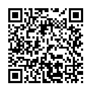 一些无处藏身的基地武装分子逃到了非洲这个熟悉的地方二维码生成