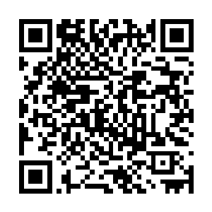 一些比如吸血或者让对方虚弱的特殊能力则很少见二维码生成