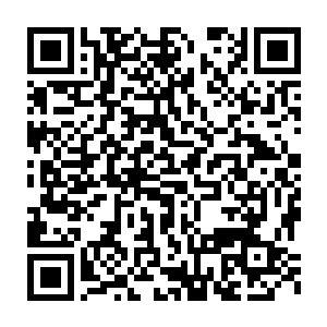 一些看不起楚暮和那些自认为天赋非凡却闯关失败的剑王脸色大变二维码生成