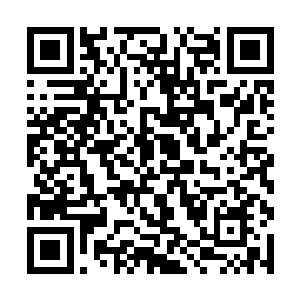 一人一猫就这样安静的静坐到某一辆火车驶进了车站二维码生成